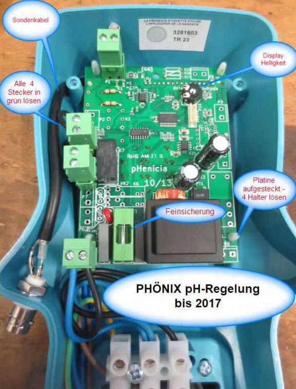 phoenix-bis-2017.jpg 